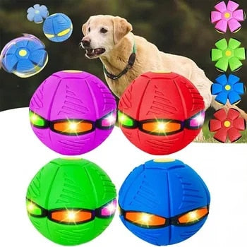 Flying Saucer Doggy Disc Ball